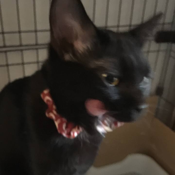 2915685d eb19 419f 8154 4def912d09df