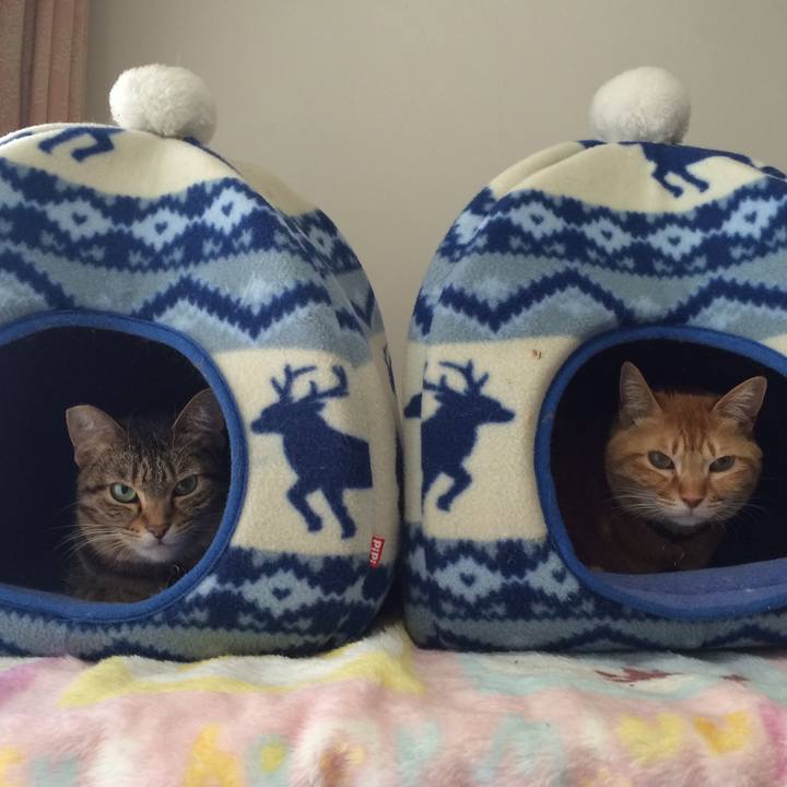 291573e7 4da9 4913 9513 87132b3b7cb2