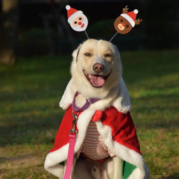 2915ee46 f1c0 4318 beb3 a619a78fb790