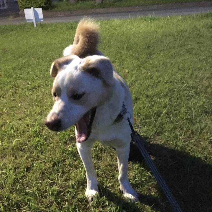 29163db8 ffa7 406a b97f 25cbc9c4ea37