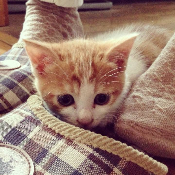 291646d5 ffe8 4bc4 8ff4 c4356641d445