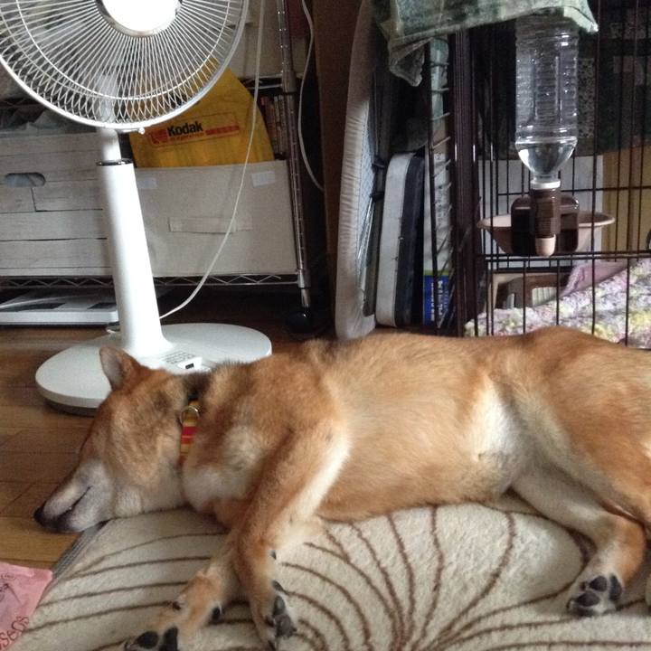 29167889 4d85 4afe 899f 8dbb067b8b89