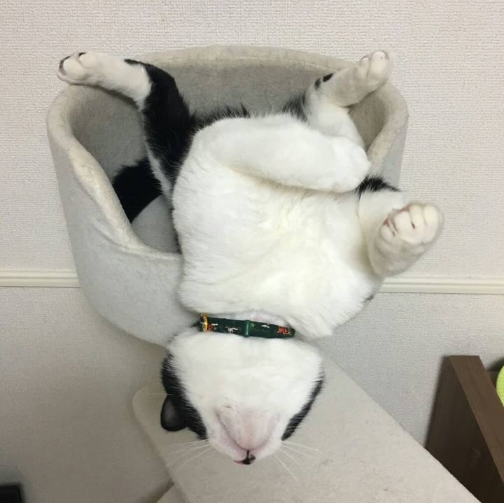 2916d40f ae2e 4d4c bd70 2038c3bdceec