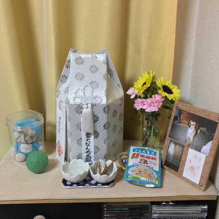 2916f86e 84c9 4949 bfbe 59907906b733