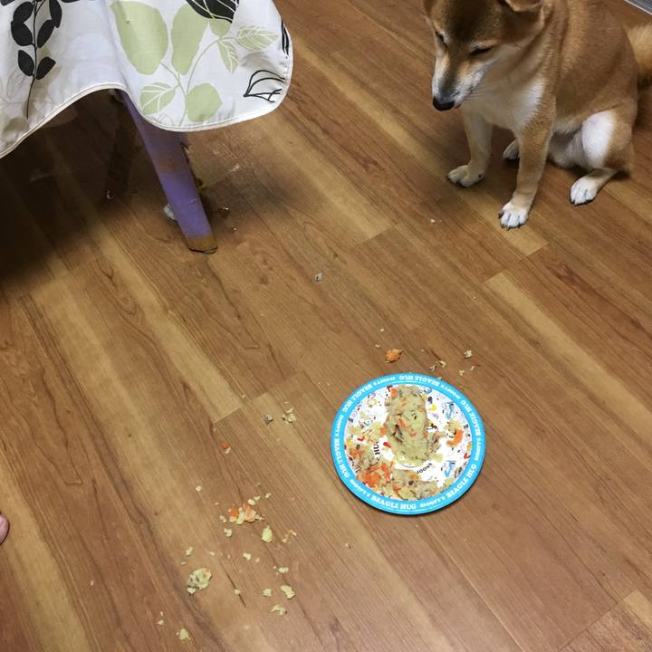 291723ef b556 4bed 8819 f3b9e6f54328