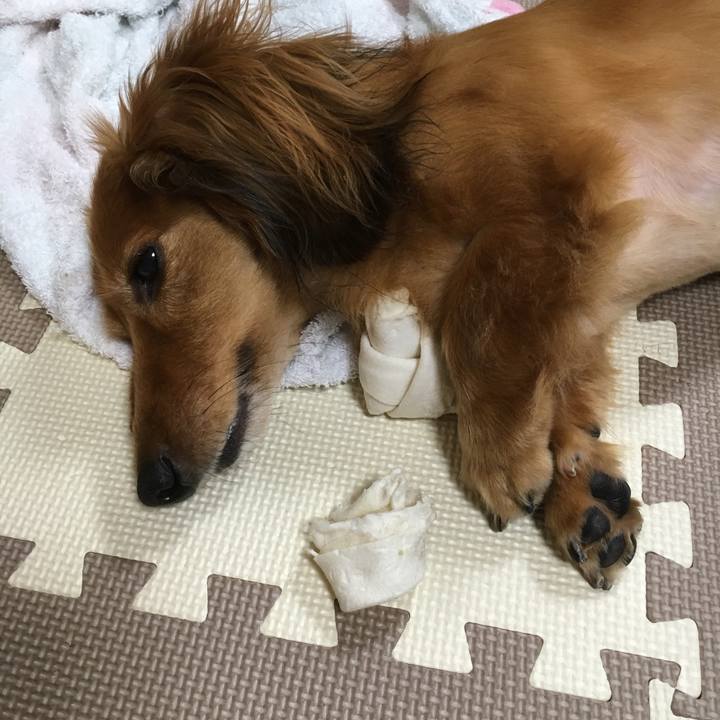 291737de 7272 4cfb a7c8 1041d6a95739