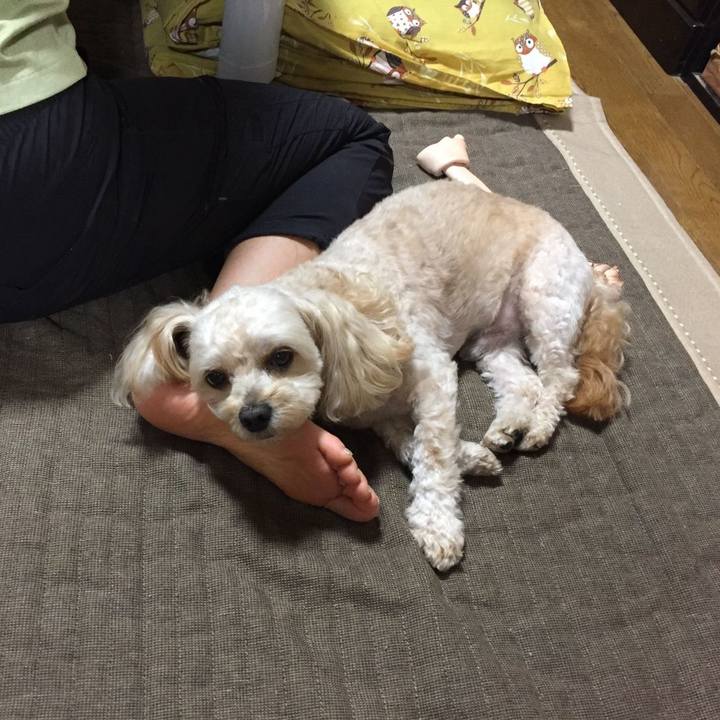 291794e7 e800 49bd aba0 15ec1b77d2ed