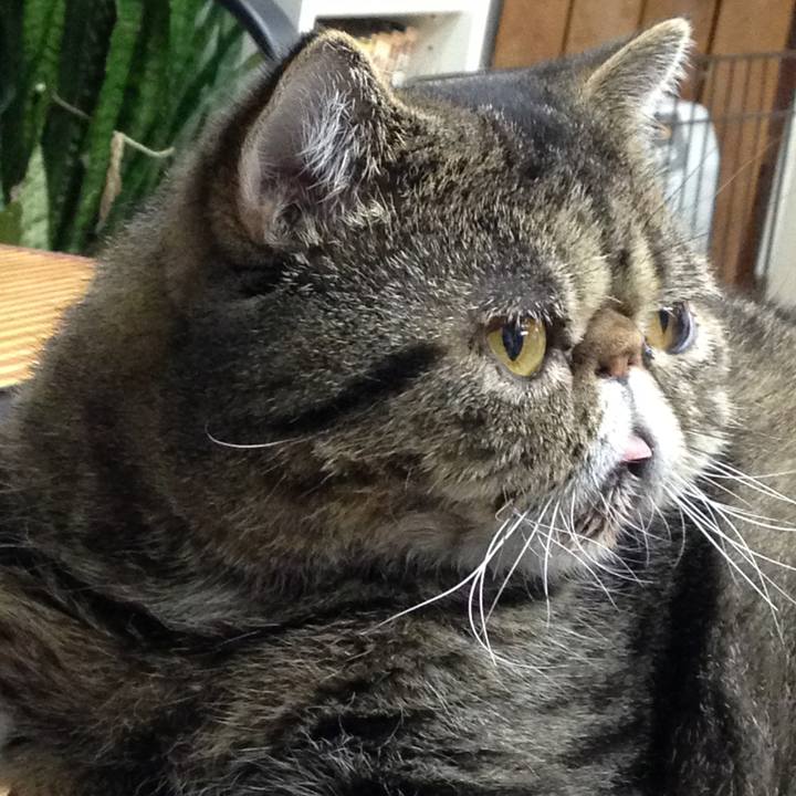 29180948 69b1 4a45 ae9d 27e92926a2ae