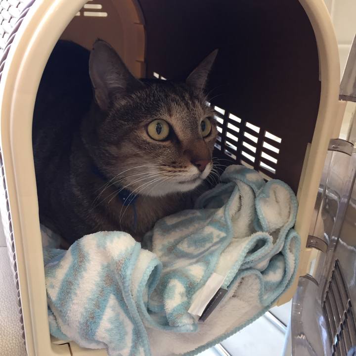 29180ba5 e52d 44df a56b 8de396538cfd