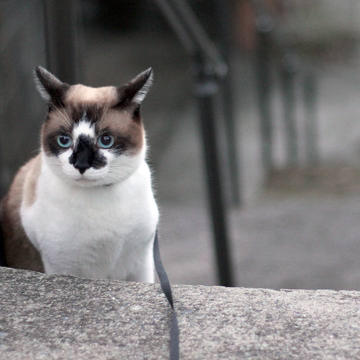 2918a7b7 4804 48d6 a208 c2e753304447