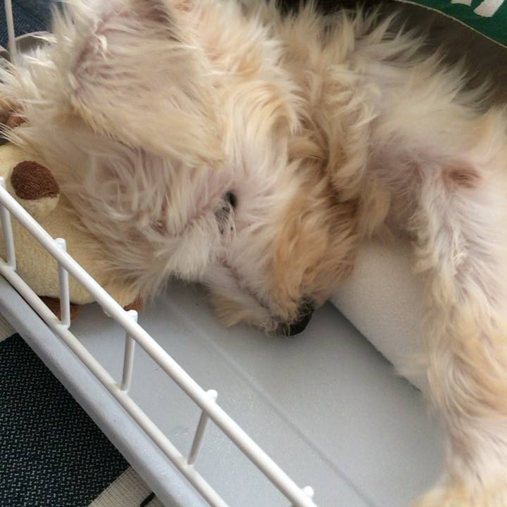 2918c1f0 0559 41bb ac86 ca62b2f30a11