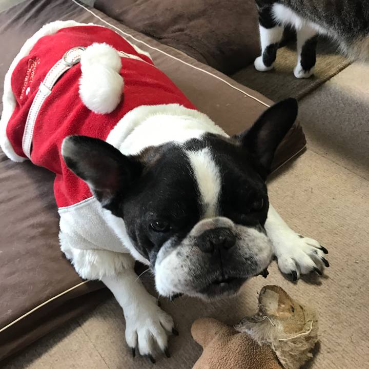 2918cf76 d4a7 42e6 b44b fb78fb955556