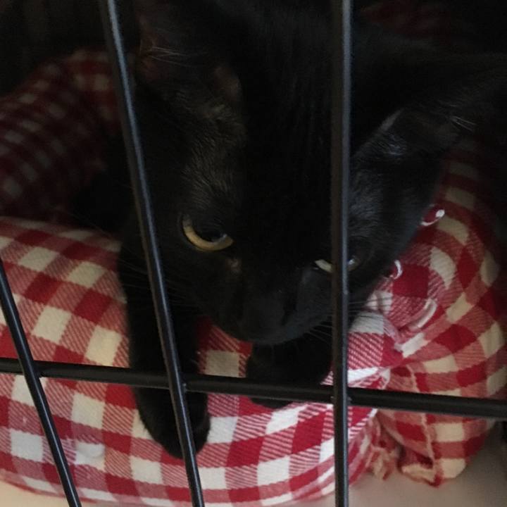 2918d5c9 55f2 4b74 b242 99a6dc59ea3f