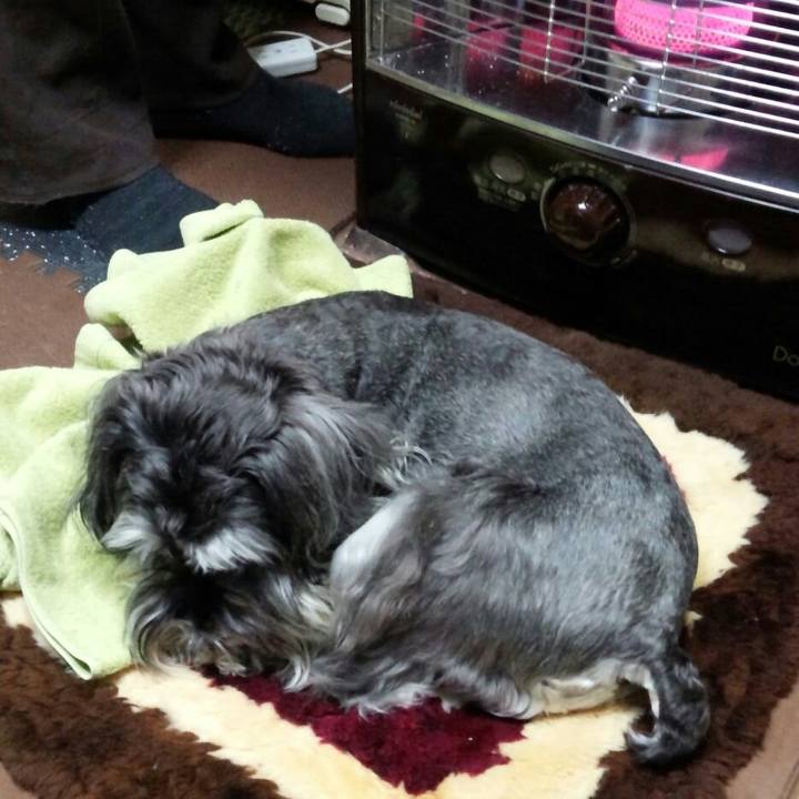 291a794f e43d 4303 b683 3d46a2627058