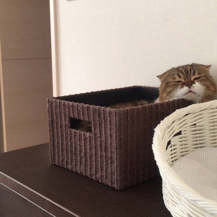 291a89c3 73ff 496e 922b 0ec4e45b4836