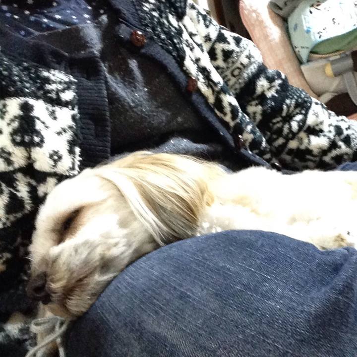 291ace8a ea3e 4fff b9c5 83b99b376ef7