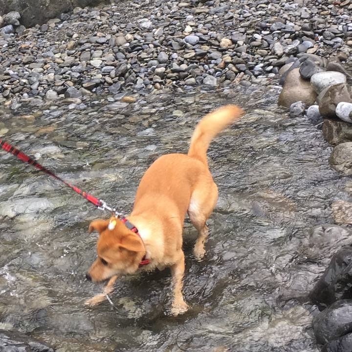 291aff0c 5e7a 4bf6 a8f5 d78f9a74eb3b