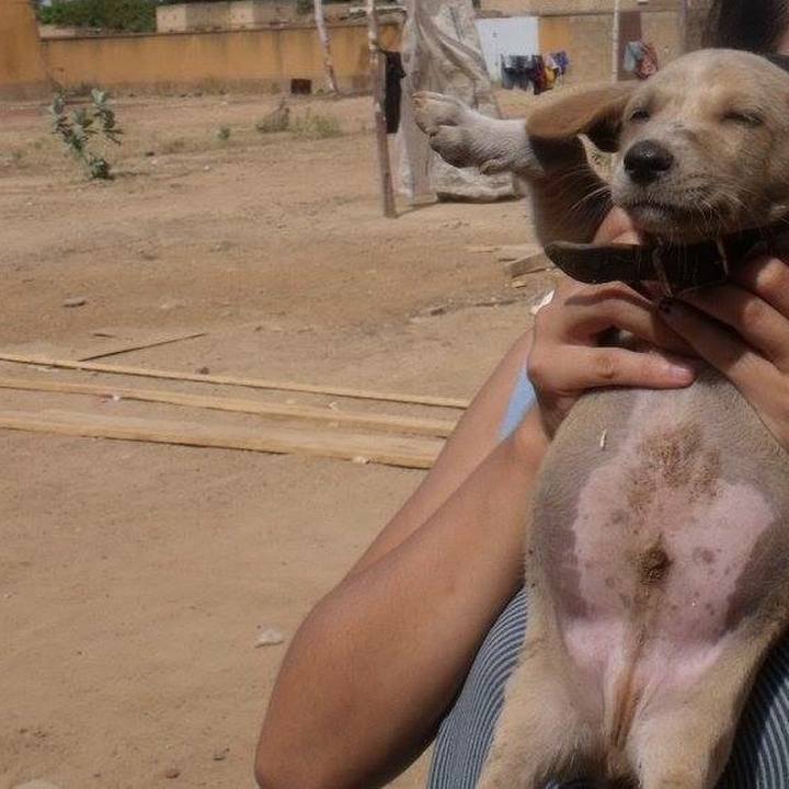 291bc820 94f8 499c a69a 17b942ef3ab2