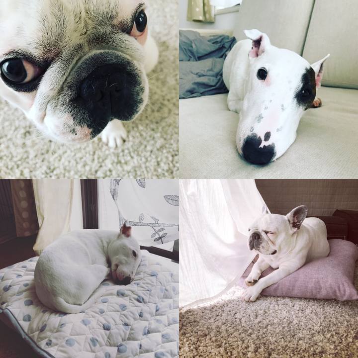 291bdca3 cca3 42d8 81ef 0c5a1496b836