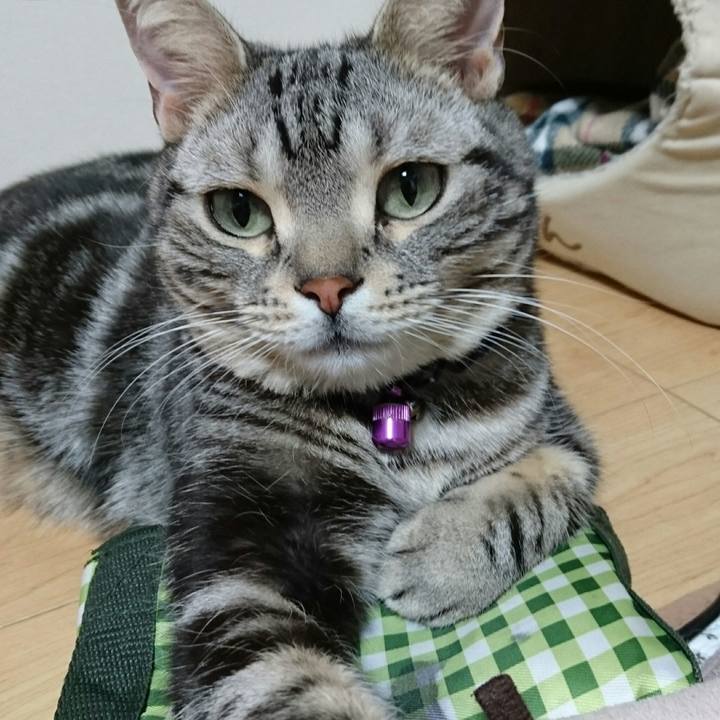 291c704b 3069 4359 ae0b a1e0f31bd25b