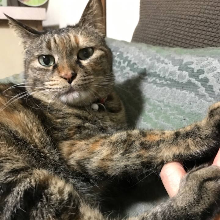 291cb637 9e0a 4d03 afa7 b109e4f8e294