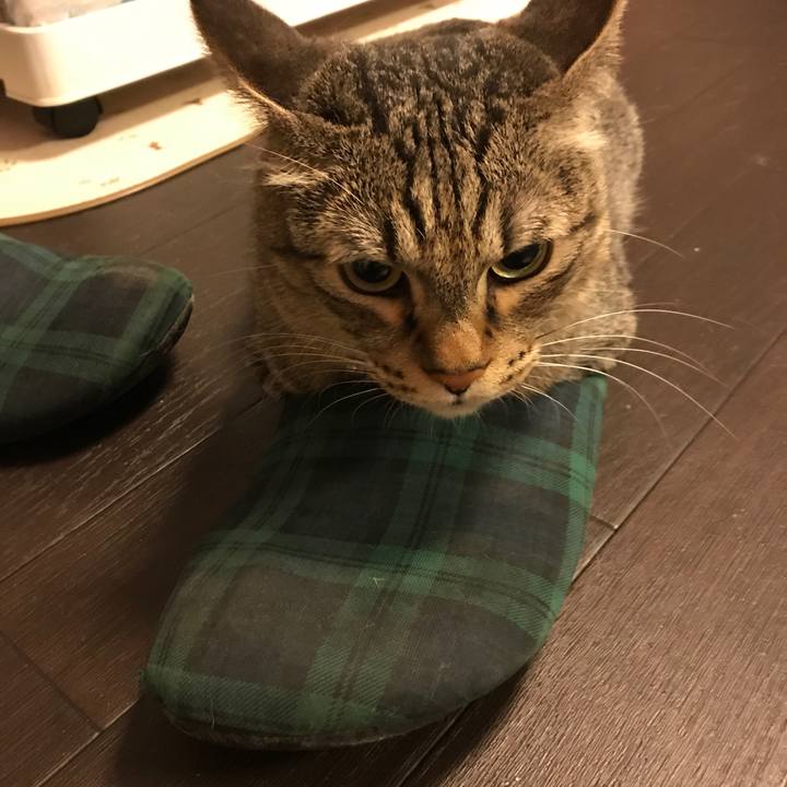 291d1060 010a 4150 94a4 c40a63090f92