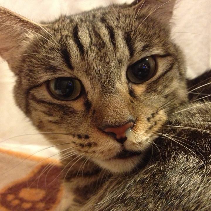 291d99ad 5ebe 41af 9d35 974bd333c217