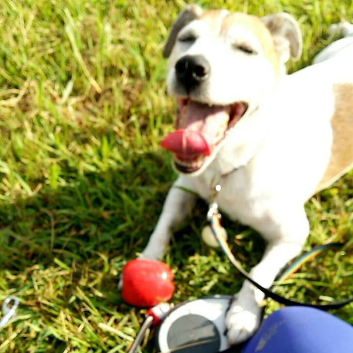 291da80a 0158 4a2f b1d5 fea00acd9d73