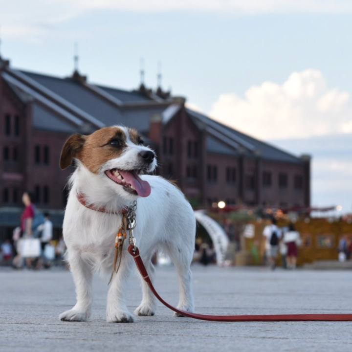 291e16c5 aea5 42fd b7dc 137eeb0c2536