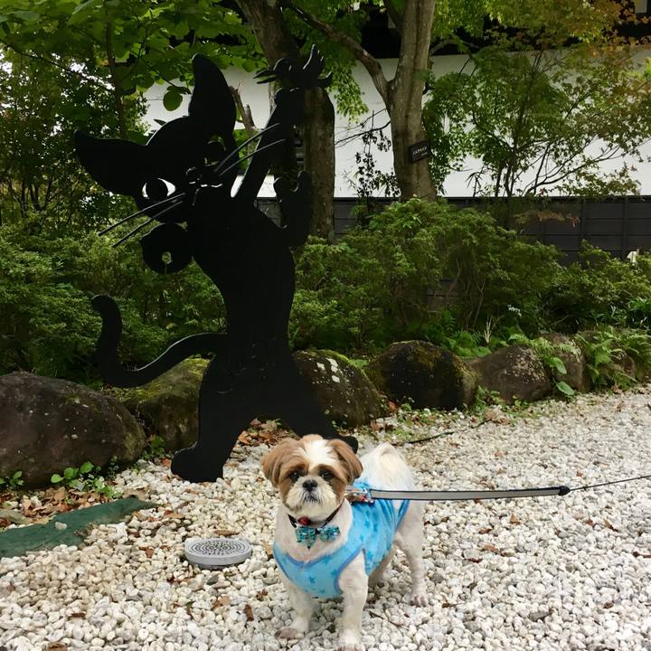 291eefa0 1075 4dfa 8071 58650adc0084