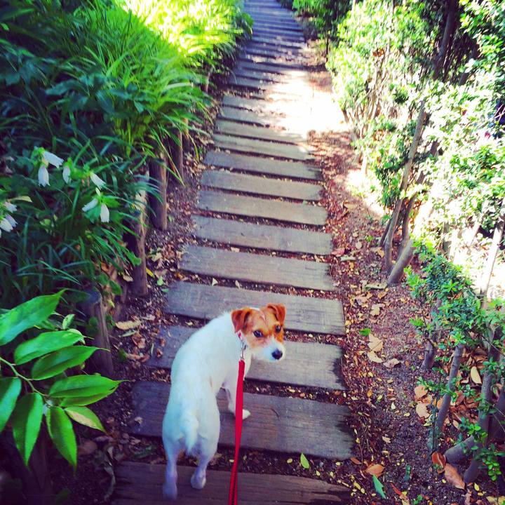 291f8a0f ef52 45a1 8fa6 7dc207c9c03b