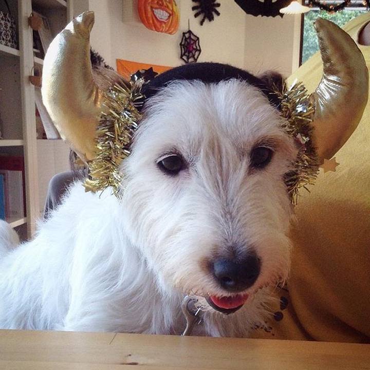 291fadfc ed37 4058 97d3 e60b663f6705