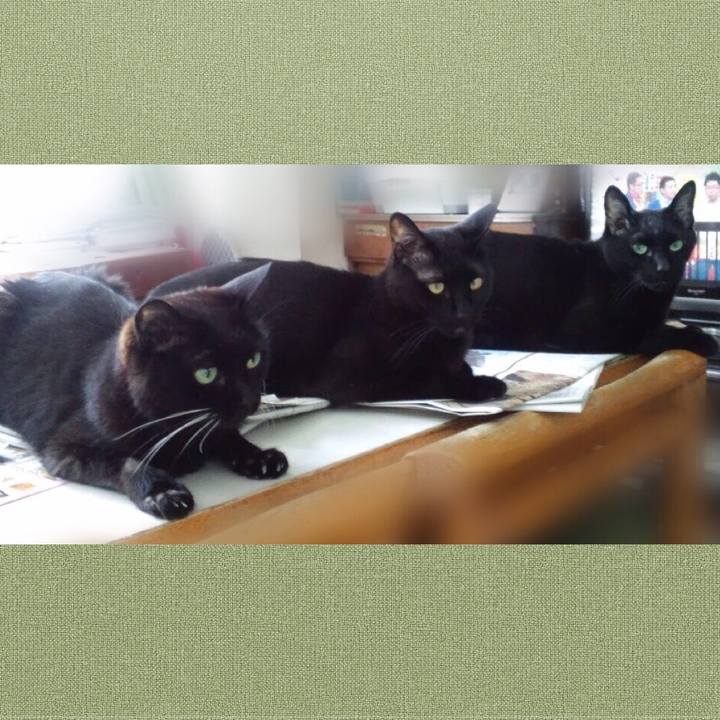 291fc0fc bca2 4ba4 8beb 97fc796bd8cf