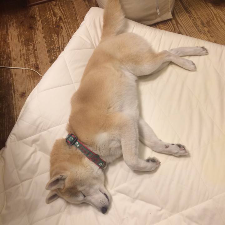 29212766 7c8c 4fa9 829e 01a1f4aa6deb