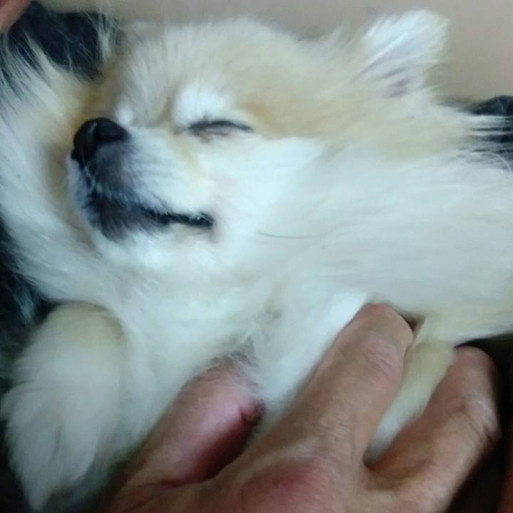 29216aac e166 444b 9fa4 19d20397e26b