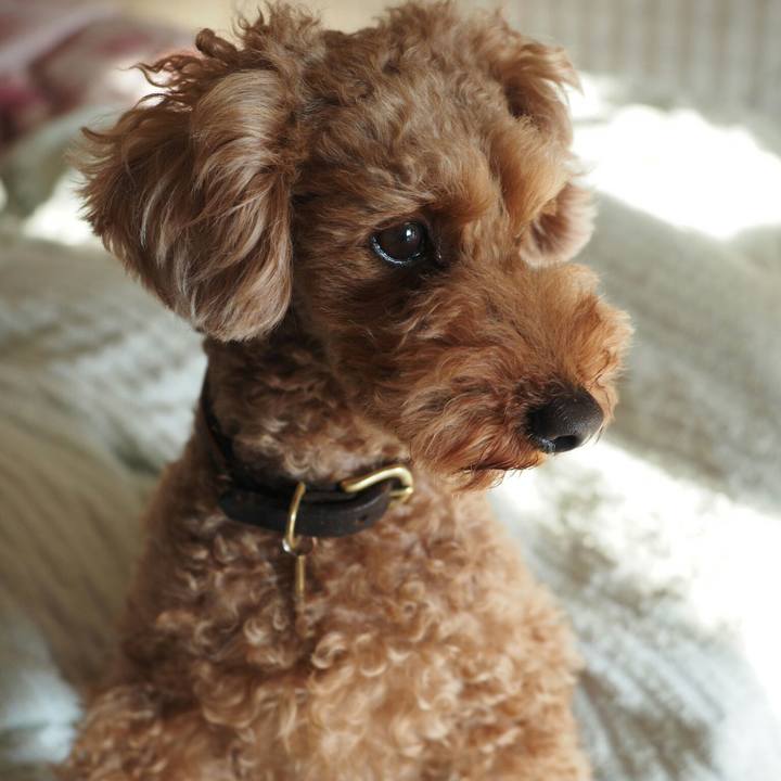 29217289 45c2 4b46 8cf4 7d7ba051ad39