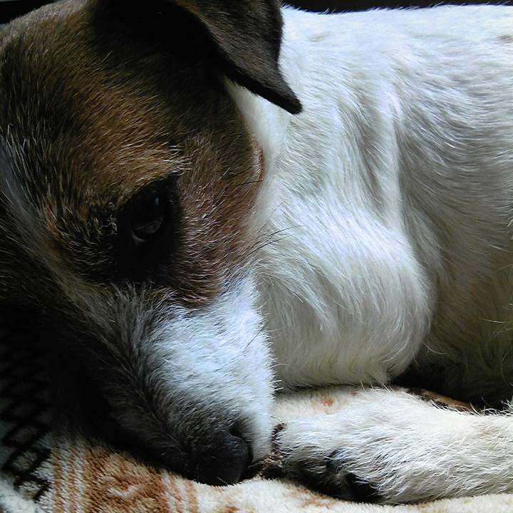 2921fe32 a1a5 4428 8949 faacd47a2b21