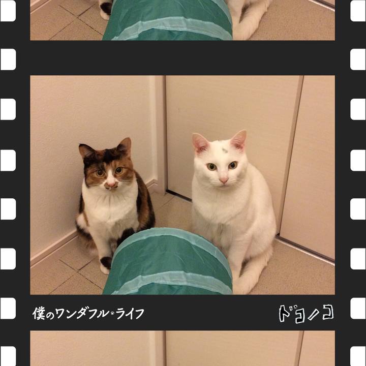 29239cdd 4d9b 4039 ac13 8367ba4da419