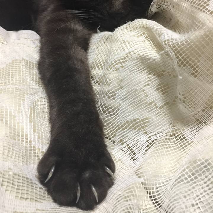 2924b626 1ac1 45d6 9efa 18ea39ba8e19