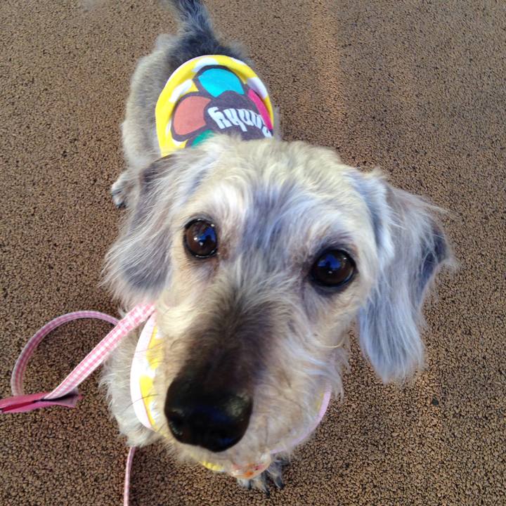 2924d5f7 c2f8 4e00 aad3 aca2f4f4b8b8