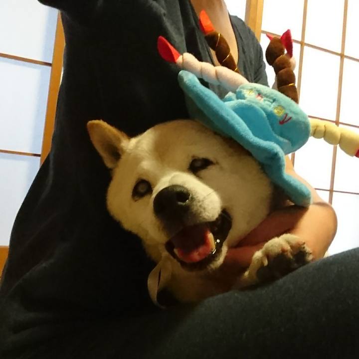 2924fa3b 15a6 4e79 8d81 e6854d3468c1