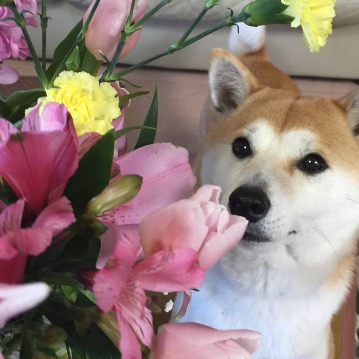 2925003e 54be 49cb 886c 1c003869f62b