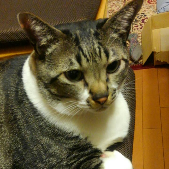 29251183 35fa 4f58 b26d 097fe1d10970