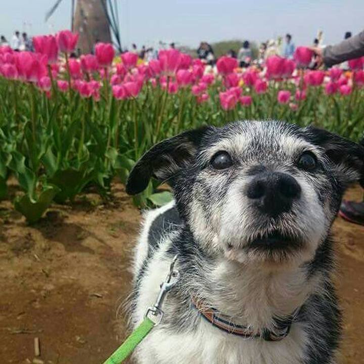 292525d3 1a14 47e7 b055 fbec3e02cb60