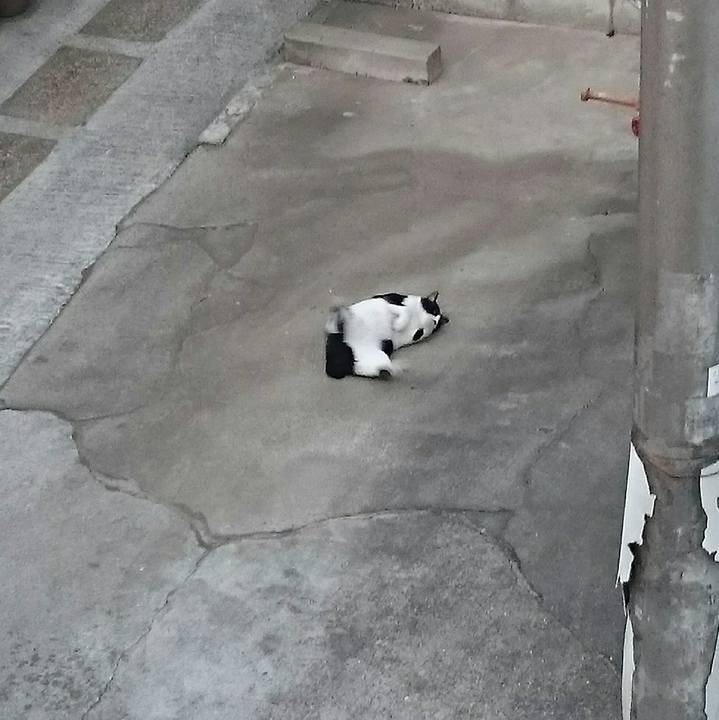 29254195 b715 4392 b9f9 cba9b717a638