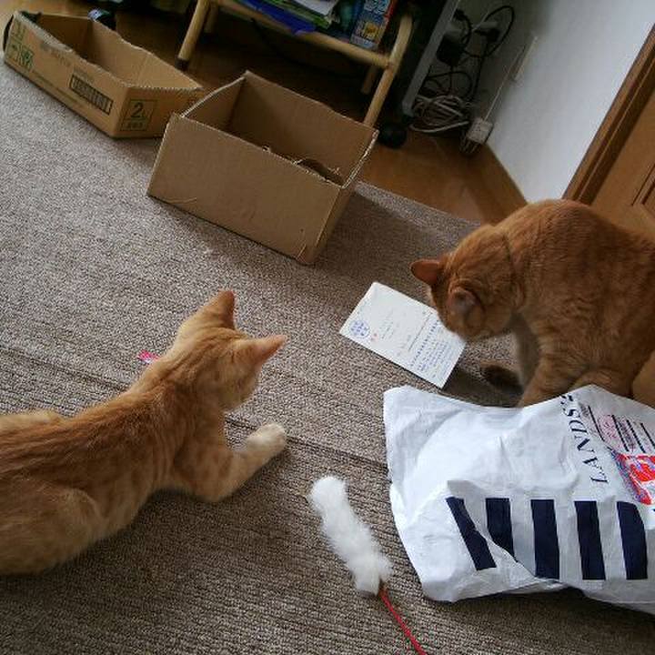 29257541 fb98 402d b7b0 14b5c0deb8d0