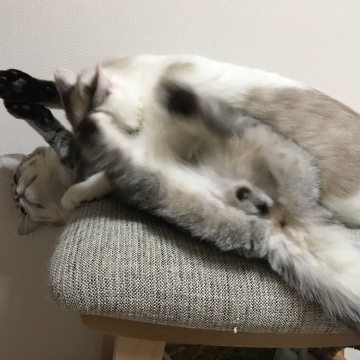 2925f8f8 1b2d 4f09 bb6c ac1df5699279