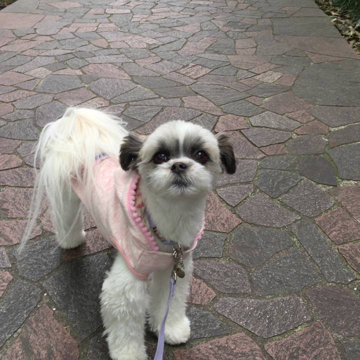 29260760 795a 482c af5c 3151f2822eb3