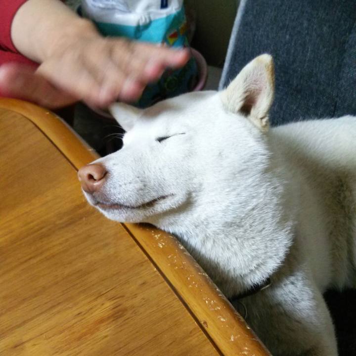 29261087 c71a 4fef 916e 1d82b8af53d8