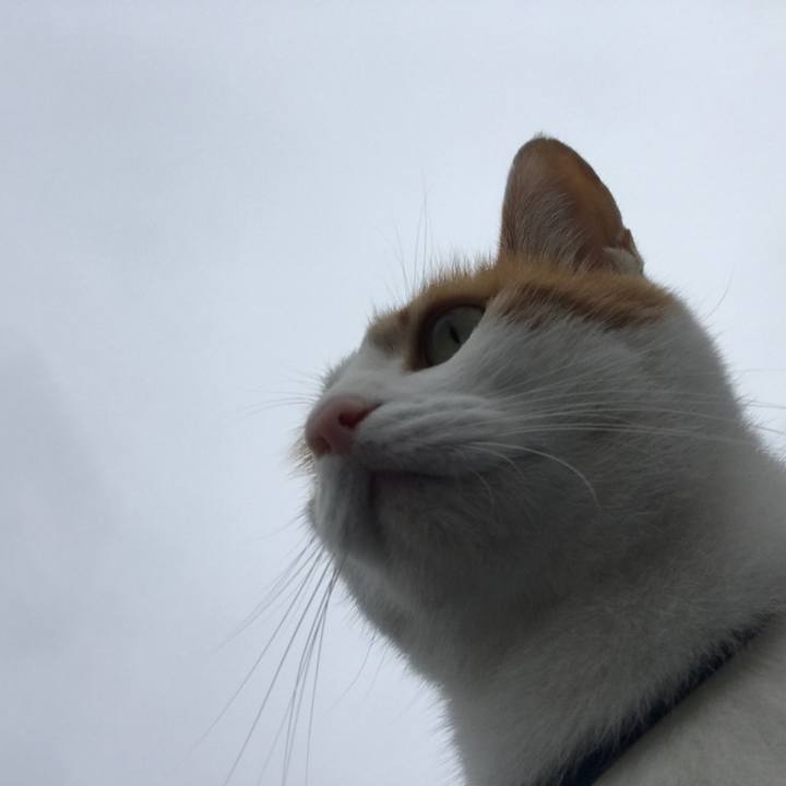 2927a179 08ad 41cc 92b5 0e234dd5f058